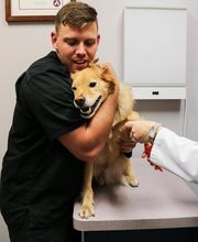 AniMed Animal Hospital image 11