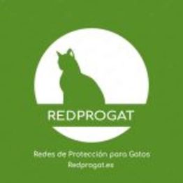 logo.jpeg