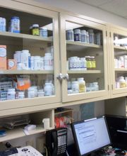 East Side Animal Hospital, A Thrive Pet Healthcare Partner image 2