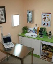 clinica-veterinaria-faunivet-laboratorio-03.jpg