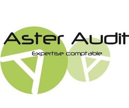 Aster Audit image 4