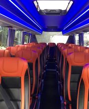 Festimove image 15