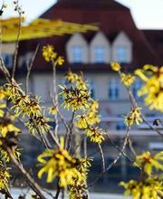 Karl-Olga-Krankenhaus GmbH Bild 2