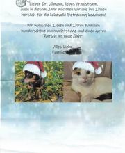 Tierarztpraxis Ullmann Bild 12