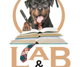 Lab & Compagnie image 1