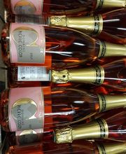 Colon Pierre SCEA image 2