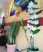 Somjai Thaimassage Bild 11