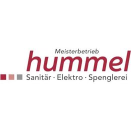 Elektro Hummel