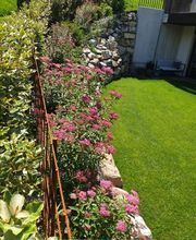 Bernasconi Willy SA Bild 10