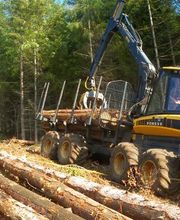 ALLIANCE Forêts Bois image 3