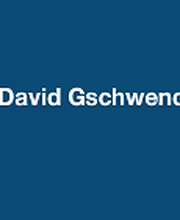 Gschwend David image 1