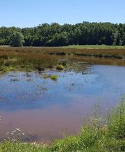 Rites des Bois image 11