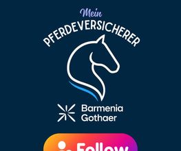 Mein Pferdeversicherer Bild 3
