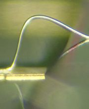 Wassmer Mikrosystemtechnik Bild 2