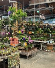 HORNBACH Gartencenter Esslingen Bild 3