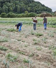 Biologische Landesprodukte - Biomeier in Full Bild 7