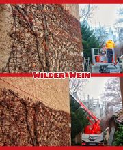 Andreas Steger, Forst- und Gartenservice Bild 10