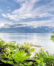 Hôtel Bon Rivage Bild 14