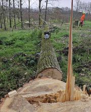 Jardin Vert Eden image 4