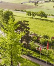 Schlössli Pieterlen, Leben im Park Bild 3