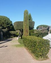 Bechelli Paysages image 6