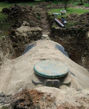 Comte Philippe image 2