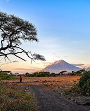 Go'n joy Africa Bild 6