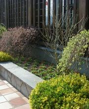 Reinhardt Gartenbau Bild 3