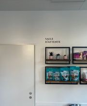 Cabinet Vétérinaire de Collonge-Bellerive Sàrl Bild 12