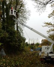 Delamare Environnement image 3