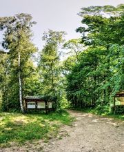 FriedWald Markersdorf Bild 13