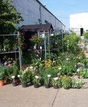 Gärtnerei & Baumschule Arndt Bild 1