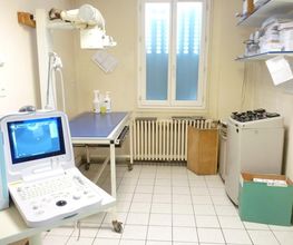 Cabinet Veterinaire de Chat-Ours image 4