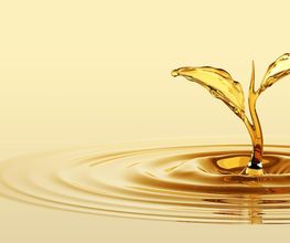 Deter-Oil imagen 6