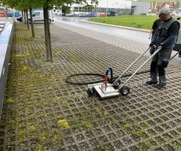 Gebäudereinigung RUPPANNER Hauswartungen KECKEX.swiss Bild 13