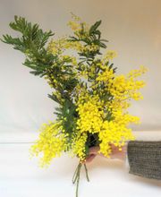 Floral'Is E.I. image 6