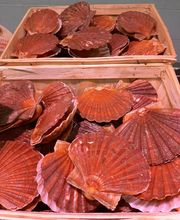 La poissonnerie le Homard image 19