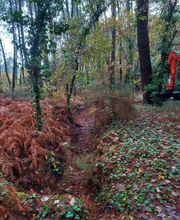 Guerro Elagage image 8