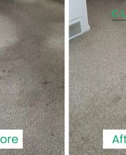 Professionelle Dienstleistungen