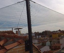 sistemas-antipalomas.jpg