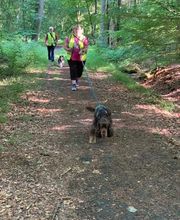 Hundeschule RolfsRudel  Rolf Matar Bild 5