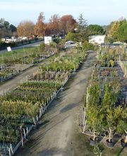 Agrément Jardins image 9