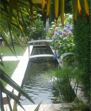 GONIN Gilles image 2