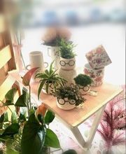 Fleuriste Vautcranne image 2