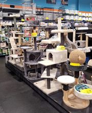 ZOOMALIA Pamiers 09 | Animalerie image 1