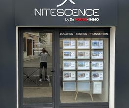 Nitescence image 3