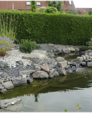 Gartenwelt Kröner Bild 5