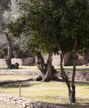 L'Araguina image 1
