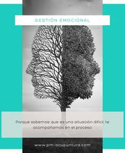 pm-acupuntura imagen 11