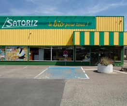 Satoriz image 3